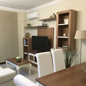  Apartment New
